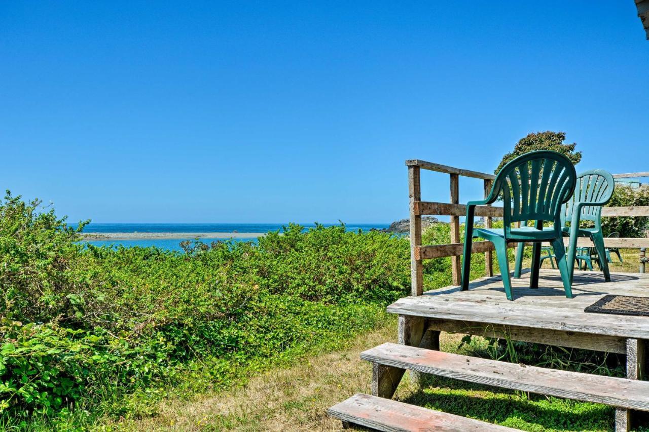 Smith River Vintage Cabin Oceanfront Deck And Views 外观 照片